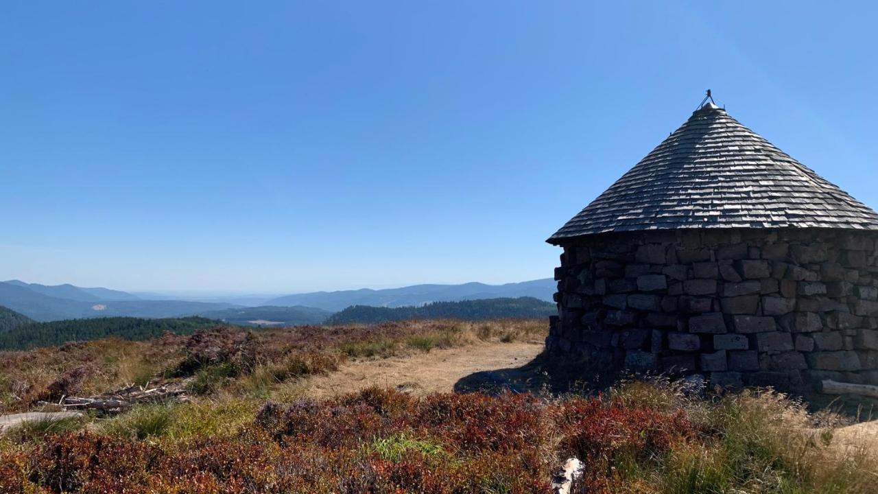 Chalet L Ecrin Vert Plaine Exteriör bild