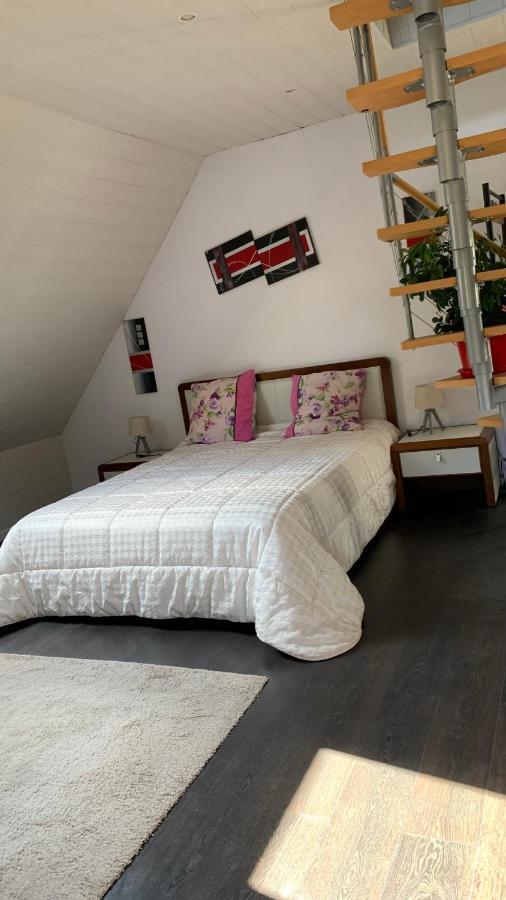 Chalet L Ecrin Vert Plaine Exteriör bild
